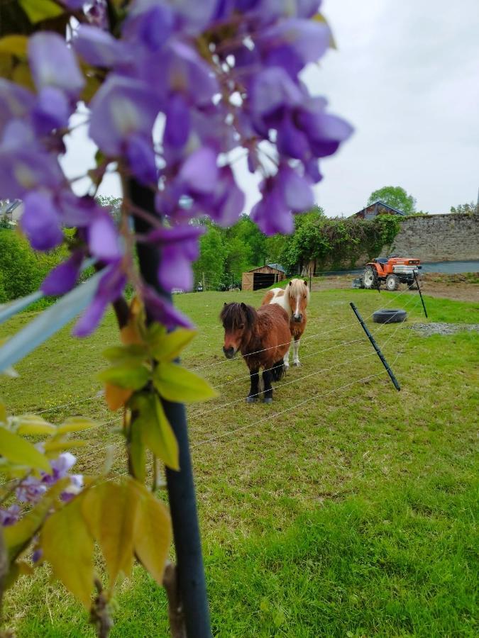 Le Domaine De Pivette Chambre Climatisee Et Insolite Avec Terrasse Privative อาวร็องช์ ภายนอก รูปภาพ